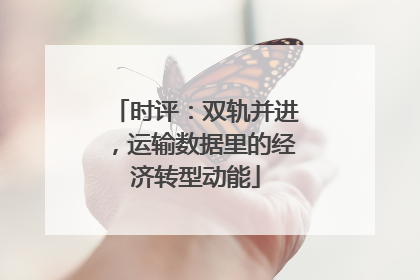 时评：双轨并进，运输数据里的经济转型动能