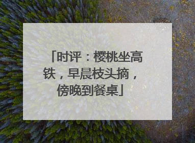 时评：樱桃坐高铁，早晨枝头摘，傍晚到餐桌