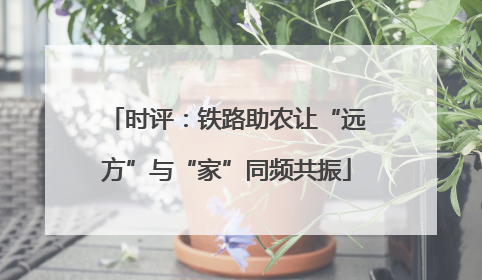 时评：铁路助农让“远方”与“家”同频共振