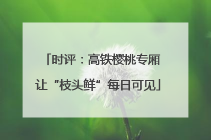 时评：高铁樱桃专厢 让“枝头鲜”每日可见