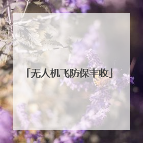 无人机飞防保丰收