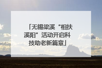 无锡梁溪“相扶溪阳”活动开启科技助老新篇章