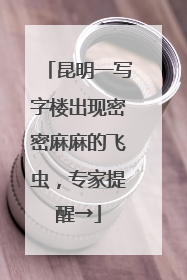 昆明一写字楼出现密密麻麻的飞虫，专家提醒→