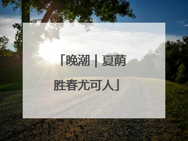 晚潮｜夏荫胜春尤可人