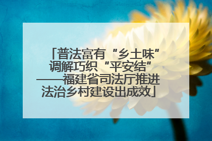 普法富有“乡土味” 调解巧织“平安结”——福建省司法厅推进法治乡村建设出成效