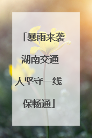 暴雨来袭 湖南交通人坚守一线保畅通