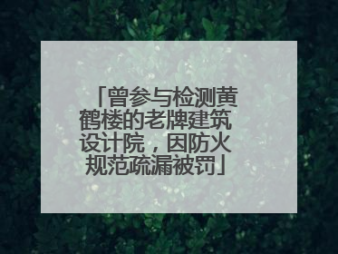 曾参与检测黄鹤楼的老牌建筑设计院，因防火规范疏漏被罚