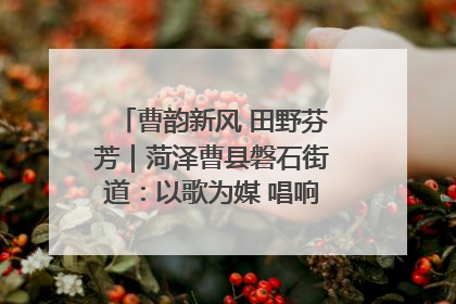 曹韵新风 田野芬芳｜菏泽曹县磐石街道：以歌为媒 唱响乡土“新歌声”