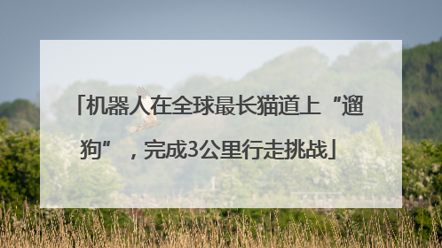 机器人在全球最长猫道上“遛狗”，完成3公里行走挑战