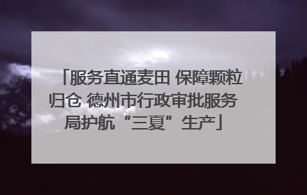 服务直通麦田 保障颗粒归仓 德州市行政审批服务局护航“三夏”生产