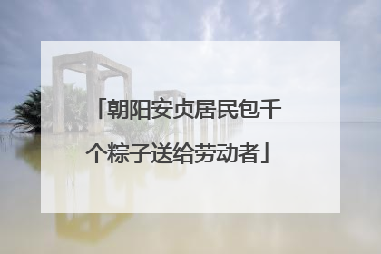 朝阳安贞居民包千个粽子送给劳动者