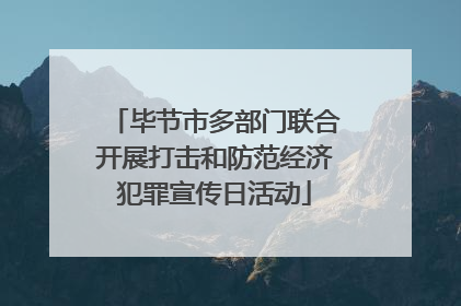 毕节市多部门联合开展打击和防范经济犯罪宣传日活动
