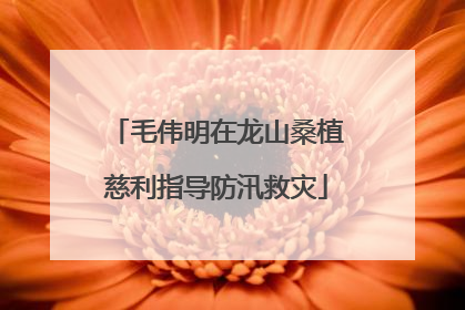 毛伟明在龙山桑植慈利指导防汛救灾