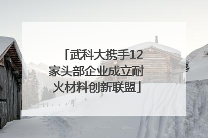 武科大携手12家头部企业成立耐火材料创新联盟