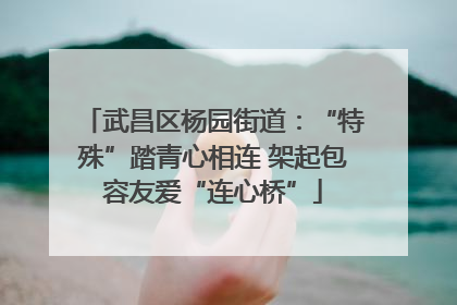 武昌区杨园街道：“特殊”踏青心相连 架起包容友爱“连心桥”