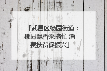 武昌区杨园街道：桃园飘香采摘忙 消费扶贫促振兴