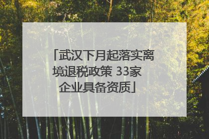 武汉下月起落实离境退税政策 33家企业具备资质