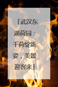 武汉东湖荷园：千荷绽新姿，美景迎客来