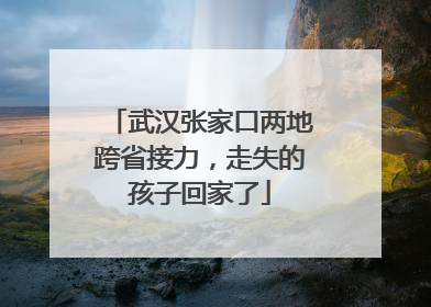 武汉张家口两地跨省接力，走失的孩子回家了