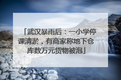 武汉暴雨后：一小学停课清淤，有商家称地下仓库数万元货物被泡