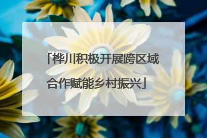 桦川积极开展跨区域合作赋能乡村振兴
