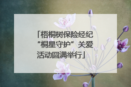 梧桐树保险经纪“桐星守护”关爱活动圆满举行