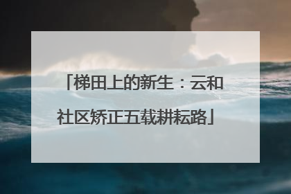 梯田上的新生：云和社区矫正五载耕耘路
