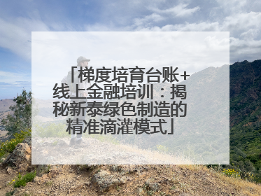 梯度培育台账+线上金融培训：揭秘新泰绿色制造的精准滴灌模式