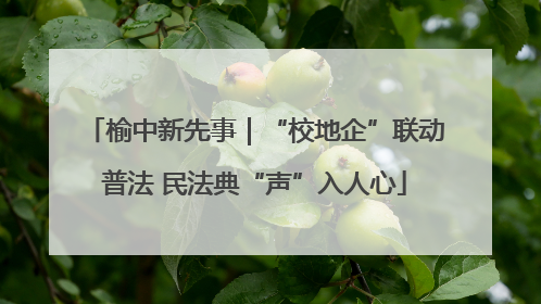 榆中新先事｜“校地企”联动普法 民法典“声”入人心