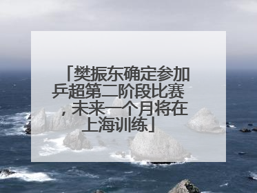 樊振东确定参加乒超第二阶段比赛，未来一个月将在上海训练