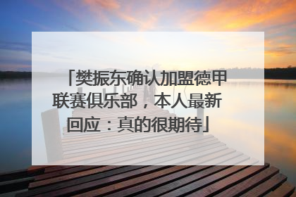 樊振东确认加盟德甲联赛俱乐部，本人最新回应：真的很期待