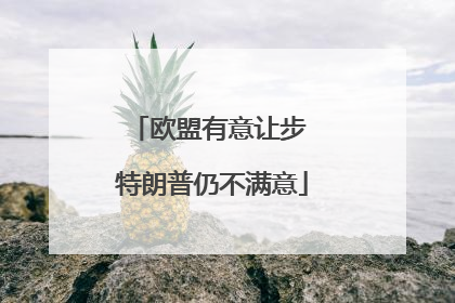 欧盟有意让步 特朗普仍不满意