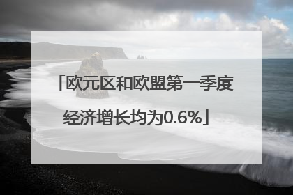 欧元区和欧盟第一季度经济增长均为0.6%