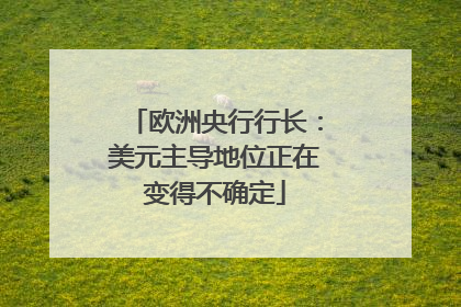 欧洲央行行长：美元主导地位正在变得不确定