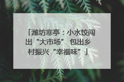 潍坊寒亭：小水饺闯出“大市场” 包出乡村振兴“幸福味”