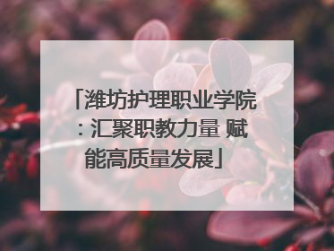 潍坊护理职业学院：汇聚职教力量 赋能高质量发展