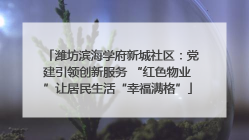 潍坊滨海学府新城社区：党建引领创新服务 “红色物业”让居民生活“幸福满格”
