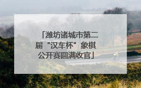 潍坊诸城市第二届“汉车杯”象棋公开赛圆满收官