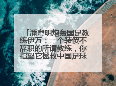 潘粤明炮轰国足教练伊万：一个装傻不辞职的所谓教练，你指望它拯救中国足球！此前曾多次发文评价国足