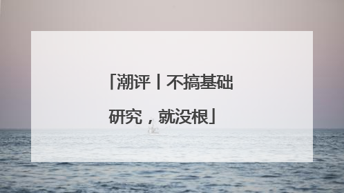 潮评丨不搞基础研究，就没根