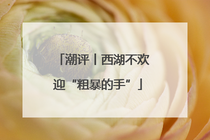 潮评丨西湖不欢迎“粗暴的手”