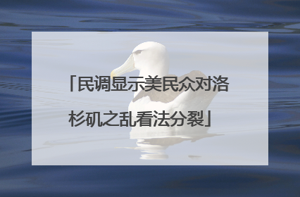 民调显示美民众对洛杉矶之乱看法分裂