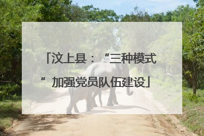 汶上县：“三种模式”加强党员队伍建设