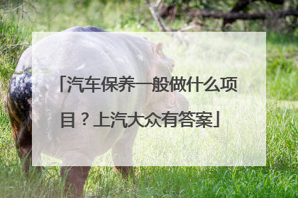 汽车保养一般做什么项目？上汽大众有答案