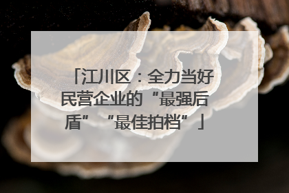 江川区：全力当好民营企业的“最强后盾”“最佳拍档”