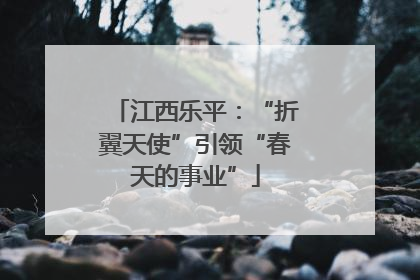 江西乐平：“折翼天使”引领“春天的事业”