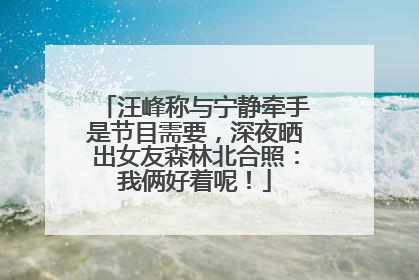 汪峰称与宁静牵手是节目需要，深夜晒出女友森林北合照：我俩好着呢！