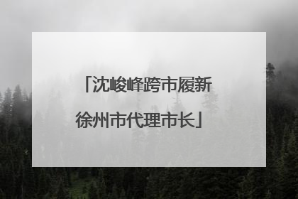 沈峻峰跨市履新徐州市代理市长