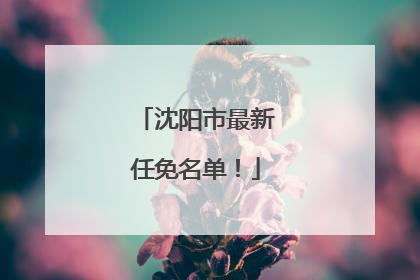 沈阳市最新任免名单！