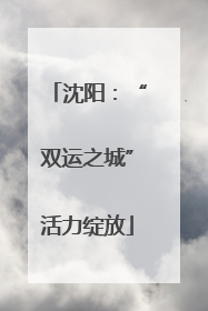 沈阳：“双运之城”活力绽放